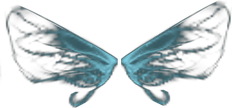 Fairy Wings