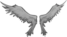 Heaven Wings