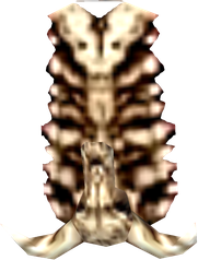 Skull Shield